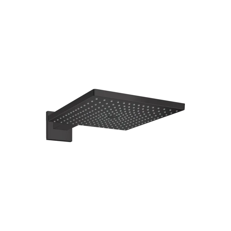 Douche de tête HANSGROHE Raindance E 300 1 jet