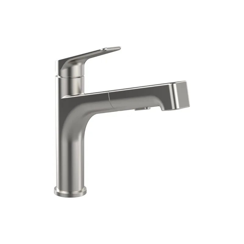Robinet cuisine VILLEROY ET BOCH Junis Sky Shower