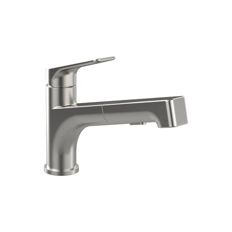 Robinet cuisine VILLEROY ET BOCH Junis Shower