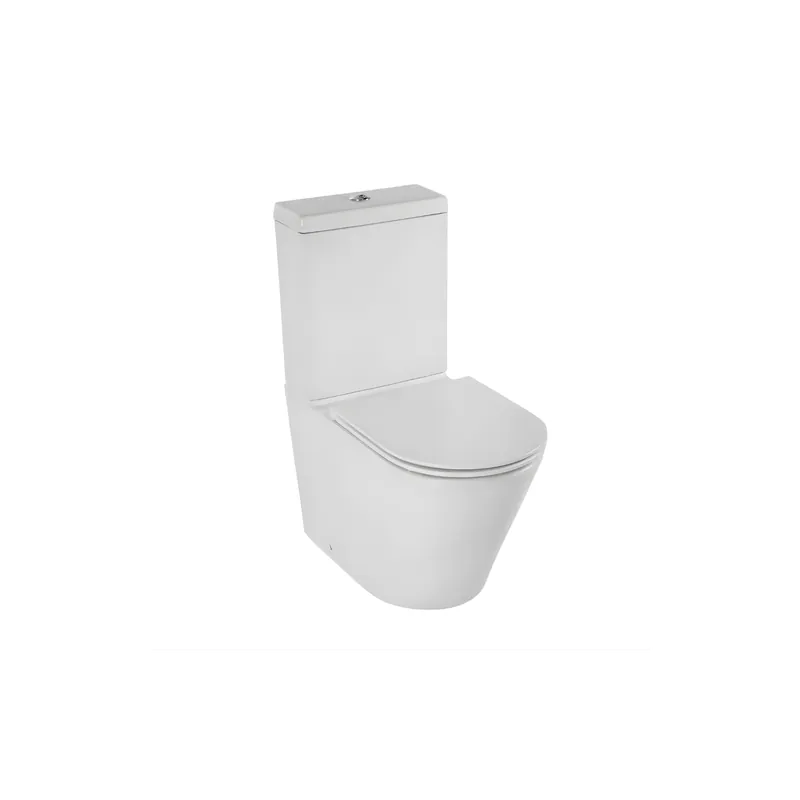 WC à poser sans bride sortie universelle JACOB DELAFON Rodin+ avec abattant extra-plat, déclipsable et frein de chute