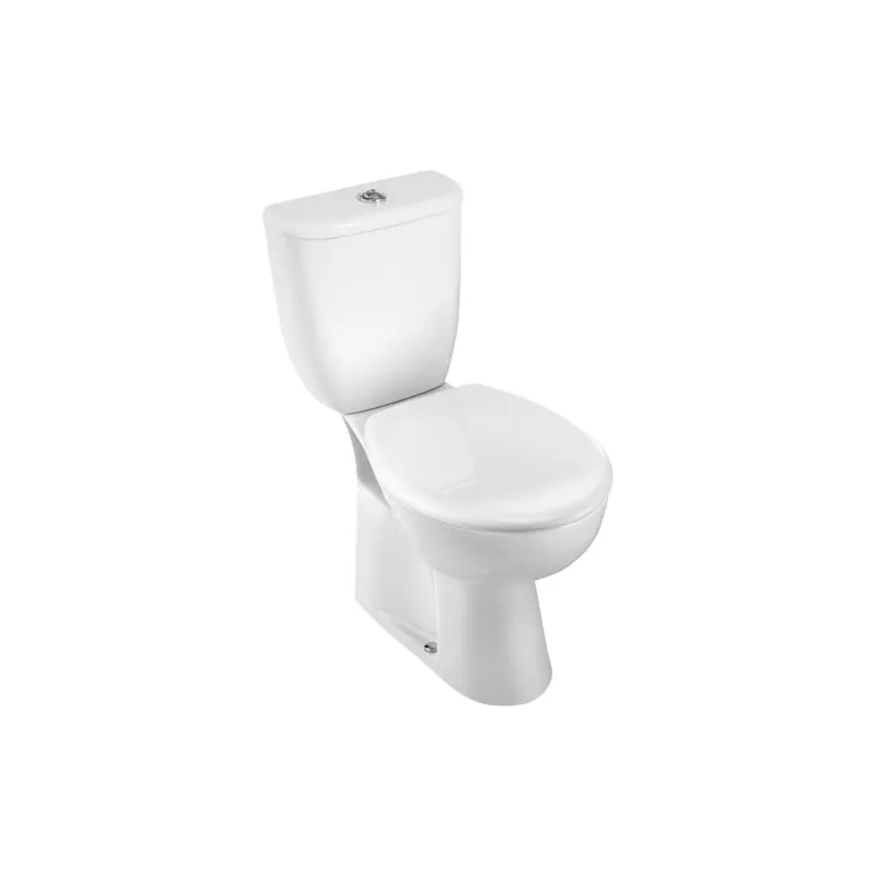 WC à poser sortie verticale JACOB DELAFON Brive 3 avec abattant