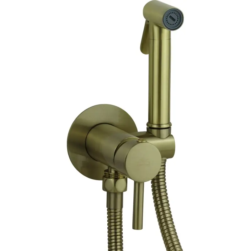 Ensemble de bidet encastré en bronze avec mitigeur et douche Paffoni ZDUP110BR