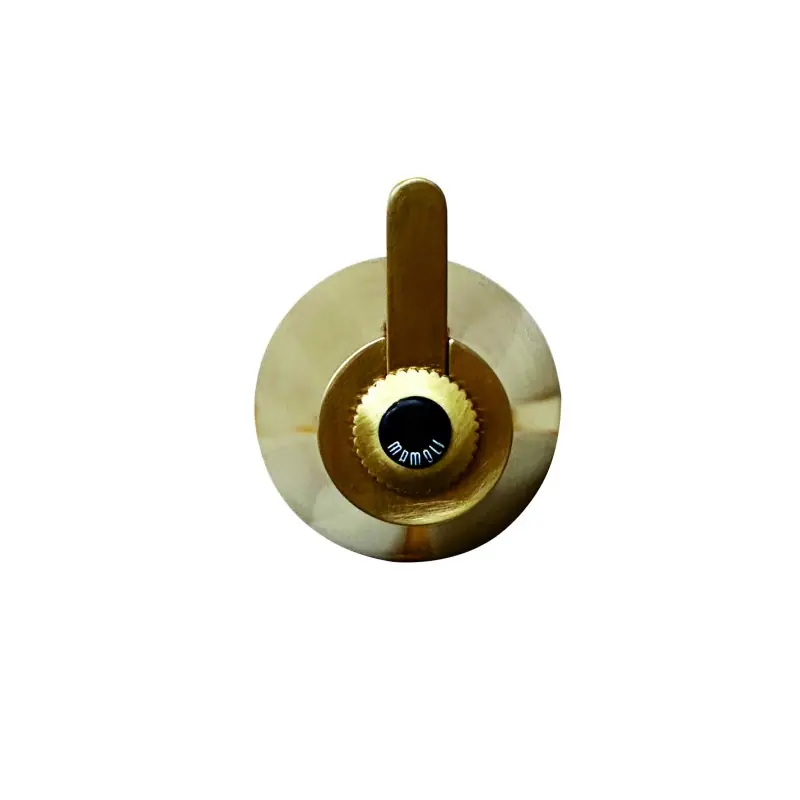 Patère simple en laiton brossé Mamoli Gio Ponti 00000602000G