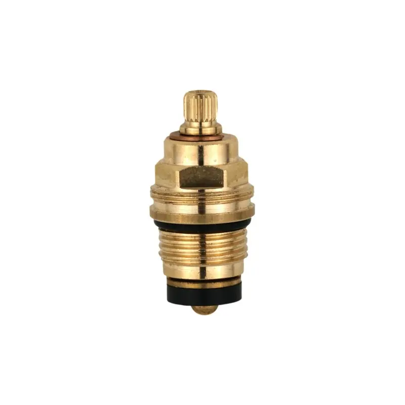 Valve de remplacement Paini Liberty 17CC18017