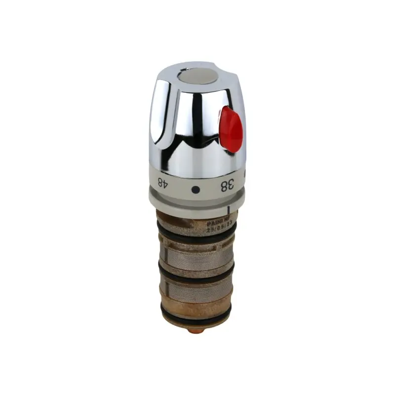 Remplacement de la cartouche pour mitigeur thermostatique Paini 2TCR959/910