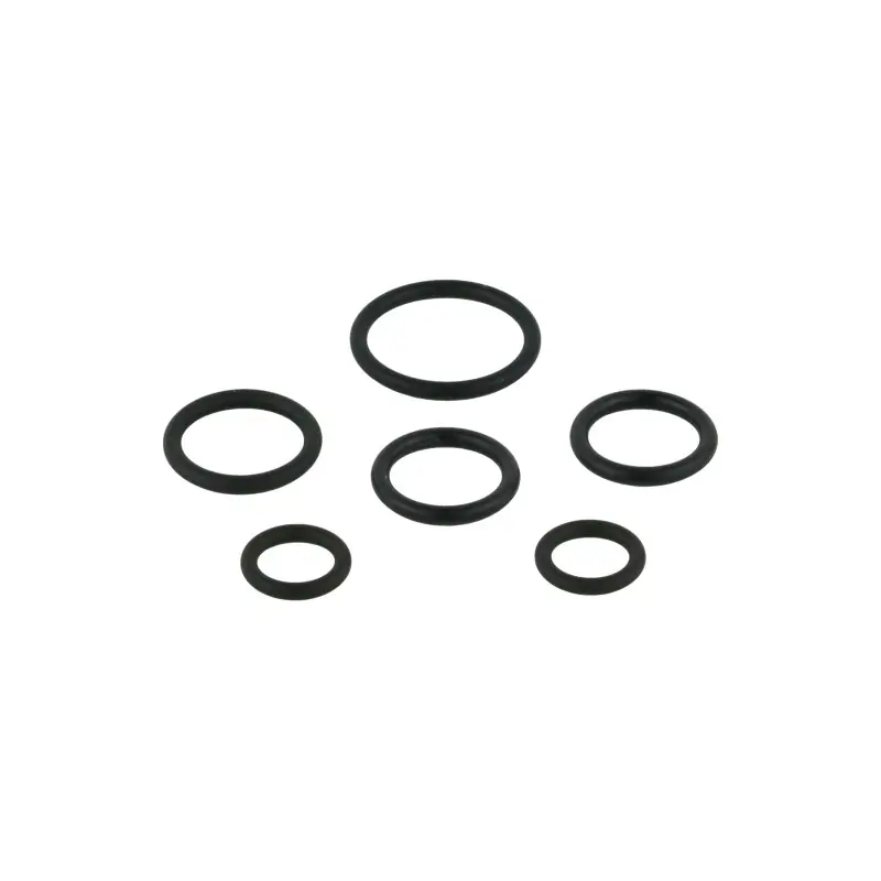 Remplacement du joint torique Idral 02096/OR6