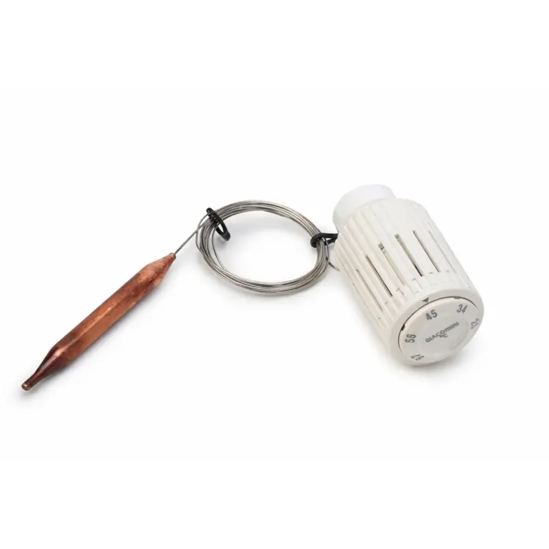 Tête thermostatique avec capteur à distance Bulbe liquide Giacomini R462LX