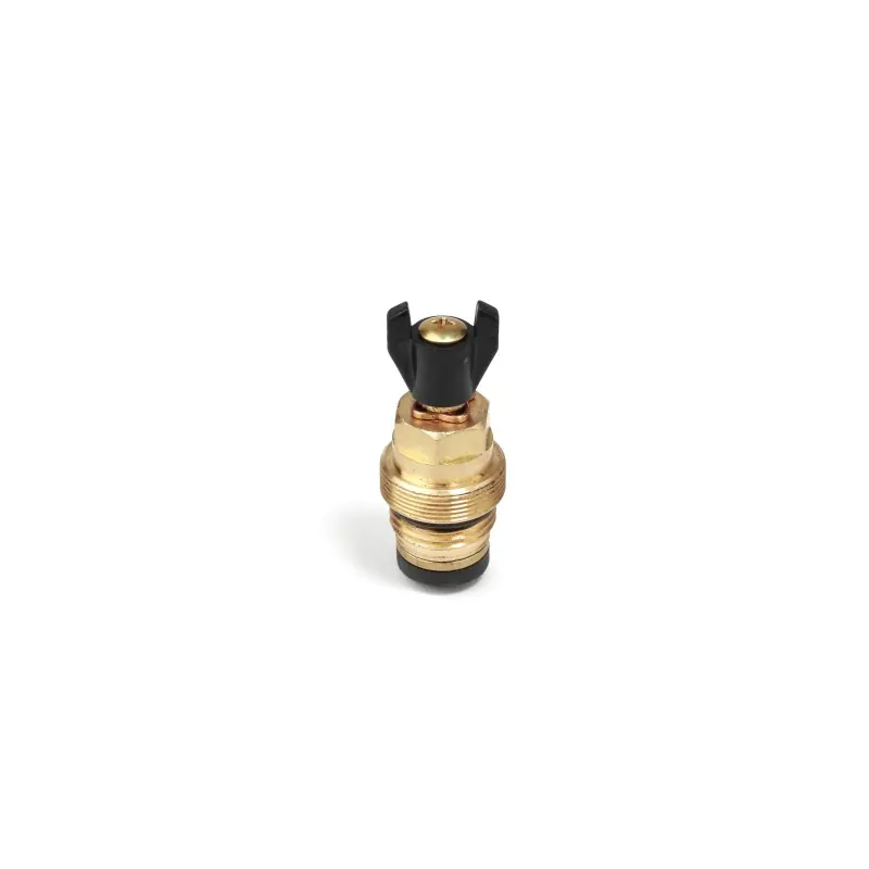 Valve de rechange pour robinets d‘arrêt RM173 et H173 Giacomini P12H