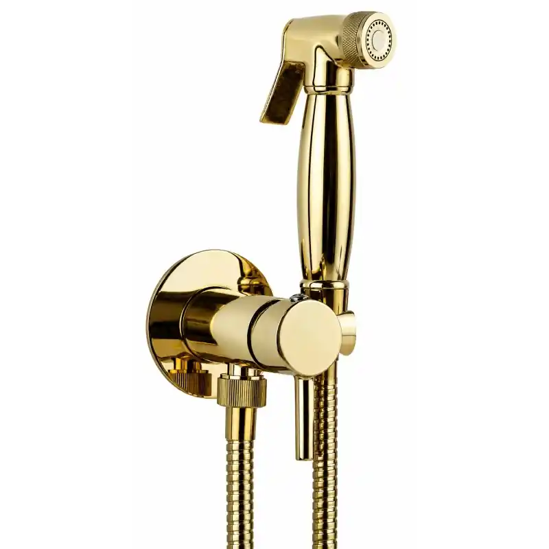Ensemble de bidet encastrable avec mitigeur d‘eau chaude et froide de couleur or EFFE Pollini D09181203DO