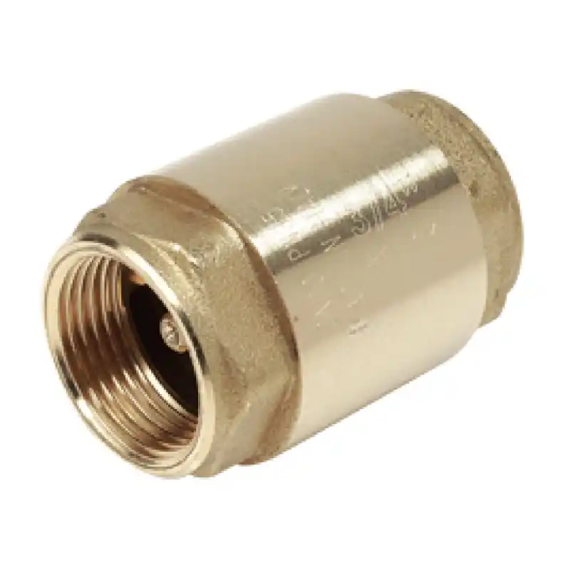 Clapet anti-retour à disque en laiton/Plastique Giacomini R60