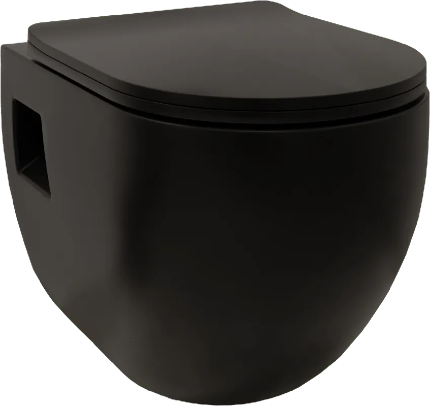 Linie Waldo wc suspendu noir mat sans rebord
