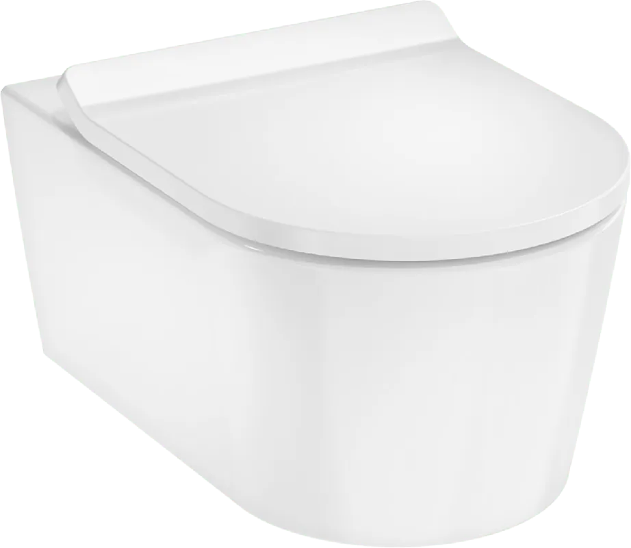 Hansgrohe Elupura S wc suspendu Blanc Brillant sans rebord
