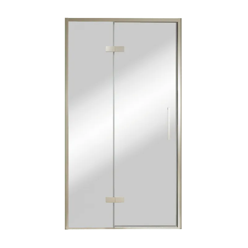 Balmani Senses Design porte pivotante à gauche 120 cm x 210 cm verre Miroir Reflex, Profil Brushed CoolMetal, coating inclus