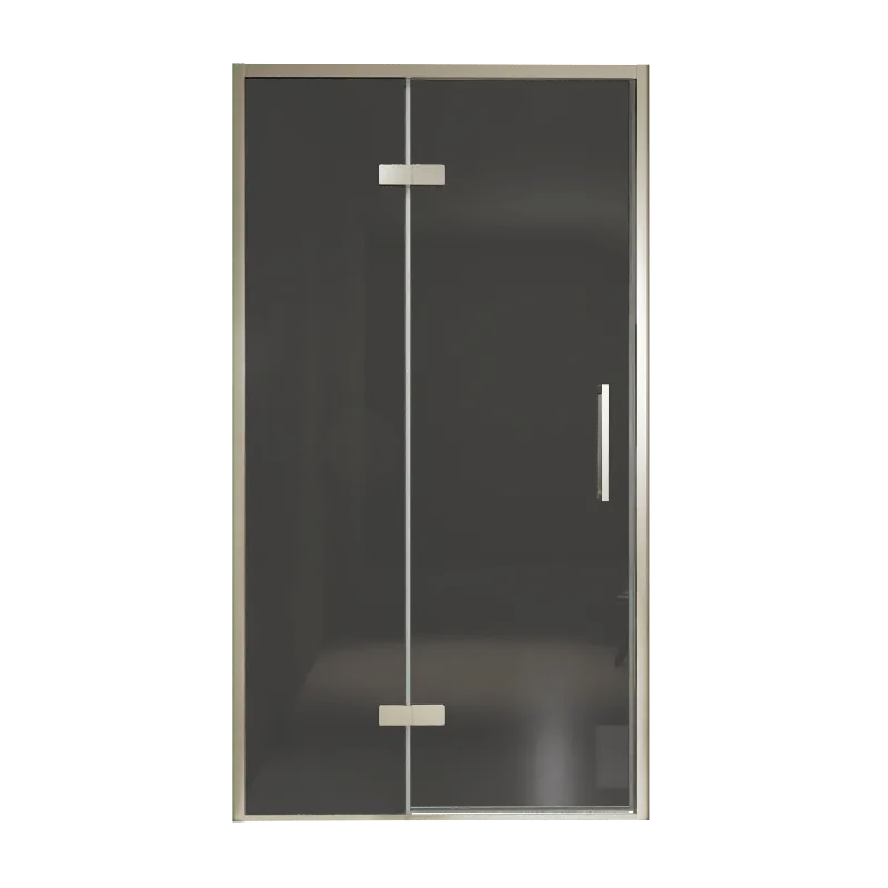 Balmani Senses Design porte pivotante à gauche 120 cm x 210 cm verre fumé, Profil Brushed CoolMetal, coating inclus