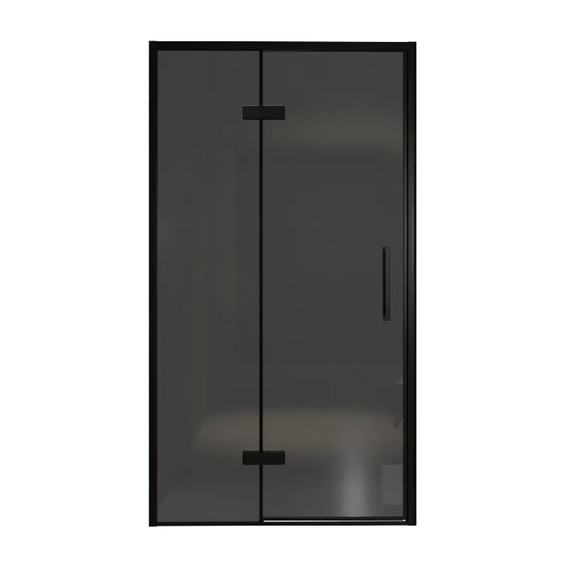 Balmani Senses Design porte pivotante à gauche 120 cm x 210 cm verre fumé, Profil noir, coating inclus