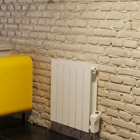 Radiateur électrique à fluide caloporteur 750W THAJ XS - FINIMETAL 3633075