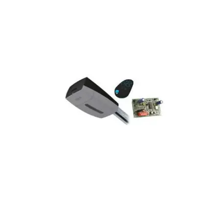 VER08DES - Kit pour portes de garage 800N - CAME 8K01MV-017