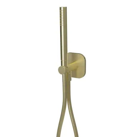 Ensemble Applique Prise D‘Eau Rond Plaque Xxl Or Brosse - CRISTINA ONDYNA PD65496P