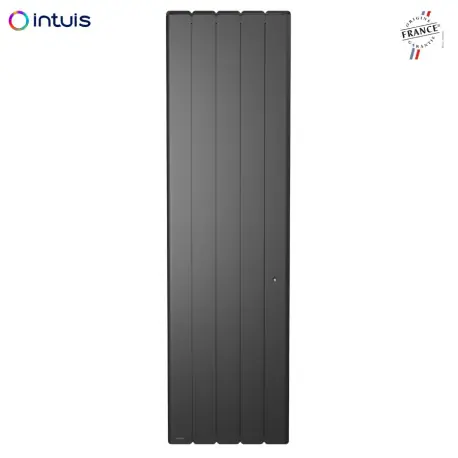 Radiateur Fonte NOIROT BELADOO Nativ 1000W Vertical gris anthracite connecté INTUIS M153223