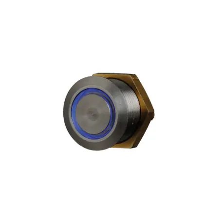Poussoir Inox Lumineux C/No/Nf 19 Mm - Couleur Bleue - Cables 8 Cm - COMELIT BP/202L