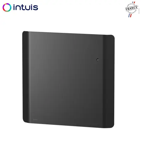 Radiateur Fonte NOIROT CALIDOO Nativ 1000W anthracite connecté INTUIS M152123