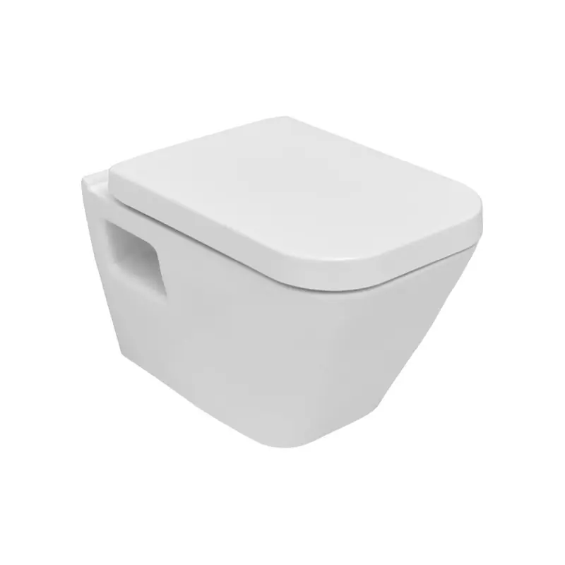 Cuvette seule dg10 (DG10KSS110H)
