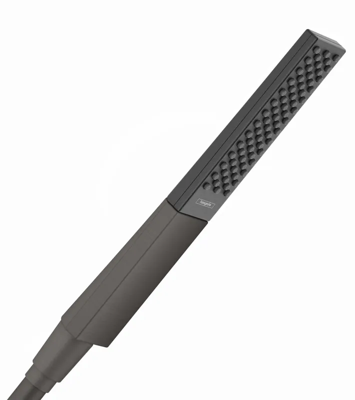 Rainfinity Douchette à main 100 1 jet, Noir Chromé brossé (26866340)