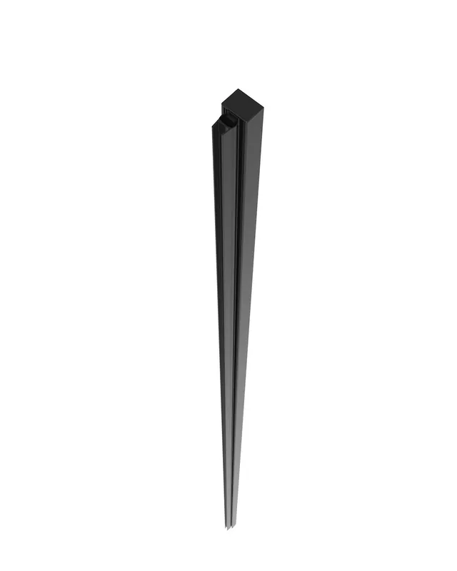 Profilé pour paroi de douche 198 cm, Noir, Walk-in Xmotion (SIKOWIXMNIKAPC)