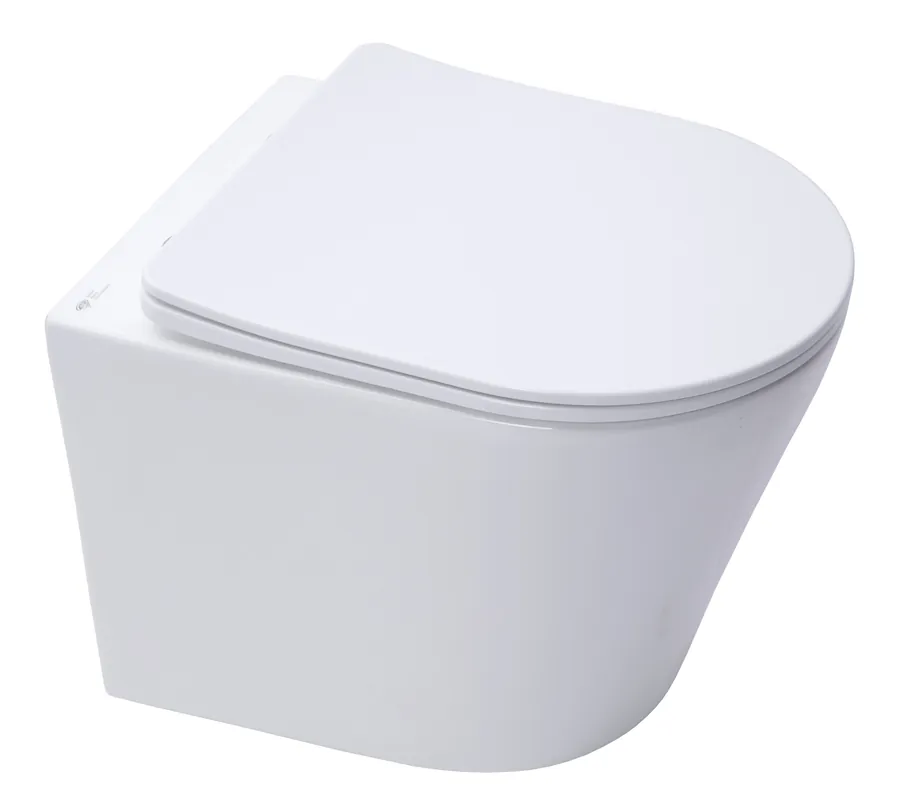 Swiss Aqua Technologies WC suspendu Infinitio sans bride et fixations invisibles + abattant frein de chute (SATINF010RREXP)