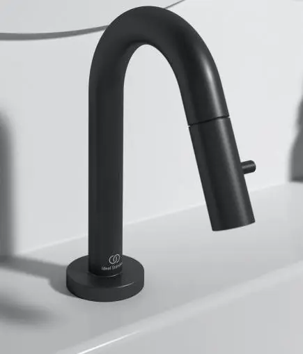 Robinet de lavabo noir CERALINE (F2842XG)