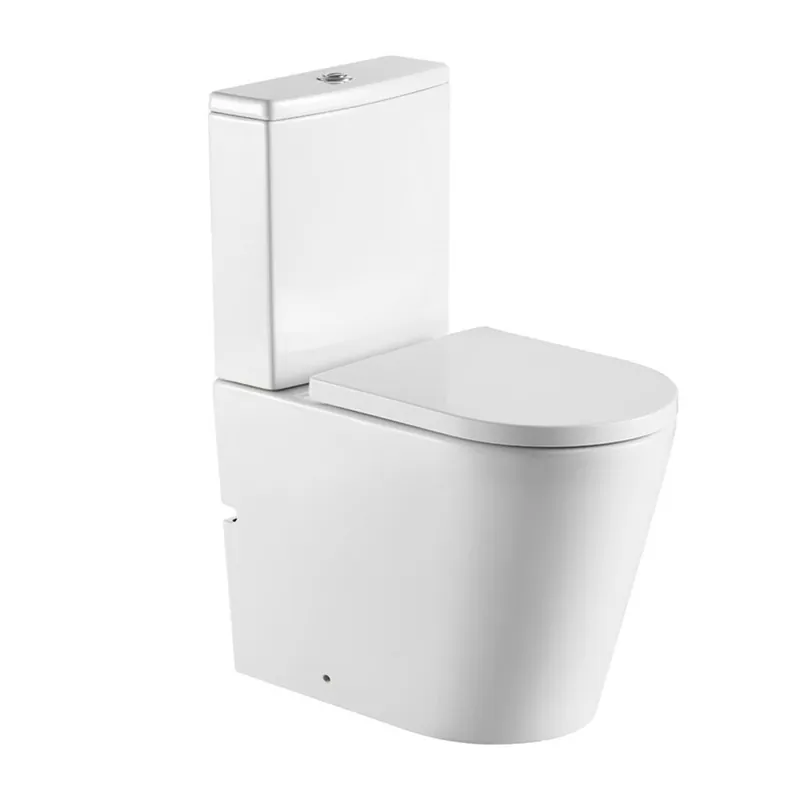 Brevis WC à poser sans bride + abattant softclose (SATBRE031RREXVPSN)