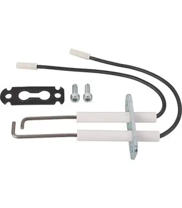 Bloch electrode d‘allumage convient pour Vitodens
