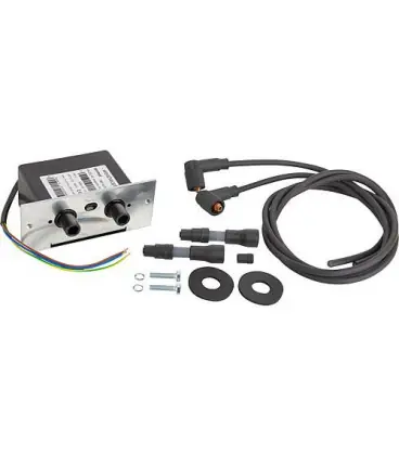 kit d‘unité d‘allumage taille 1-70 Weishaupt 210 301 0045/0