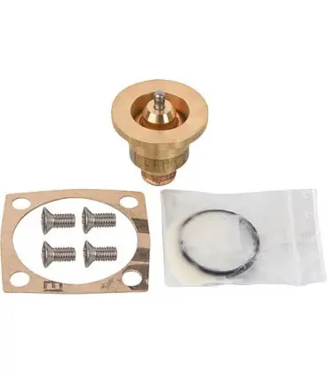 Thermocouple convient pour ADV (et LK 821) joints inclus, 55°C