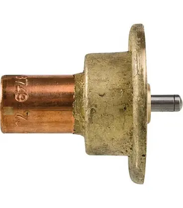 Thermostat de rechange pour WS Termo clapet de chargement 55°C