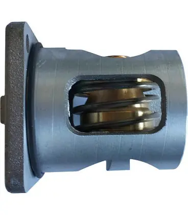 Insert thermostatique TM3000 Température 63°C