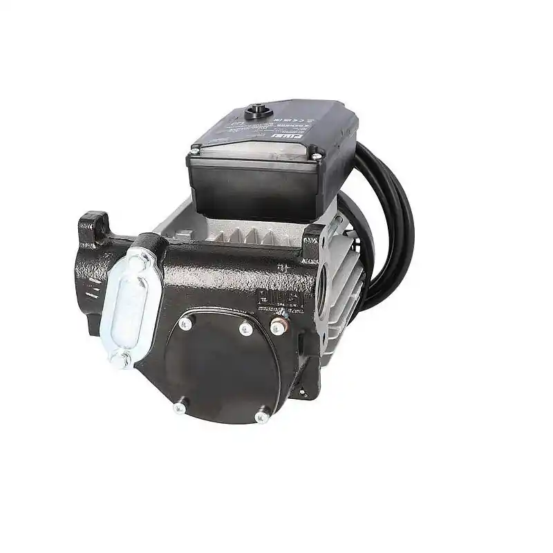 Pompe de rechange pour Cube 56 (31 079 38) Pos.14 Nr. R11528000