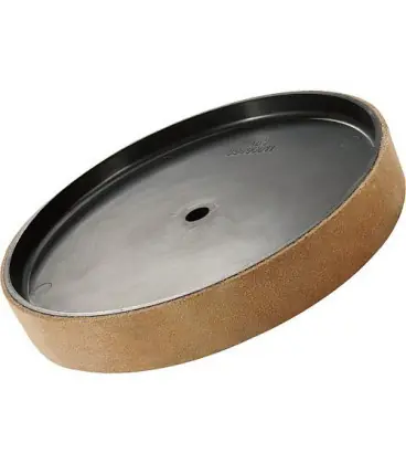 Disque d‘affilage HOLZKRAFT pour NTS 200, diam. 220 x 30 mm