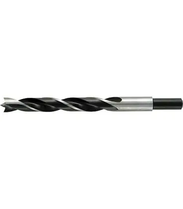 ALPEN meche a bois helicoidale diam. 12 mm